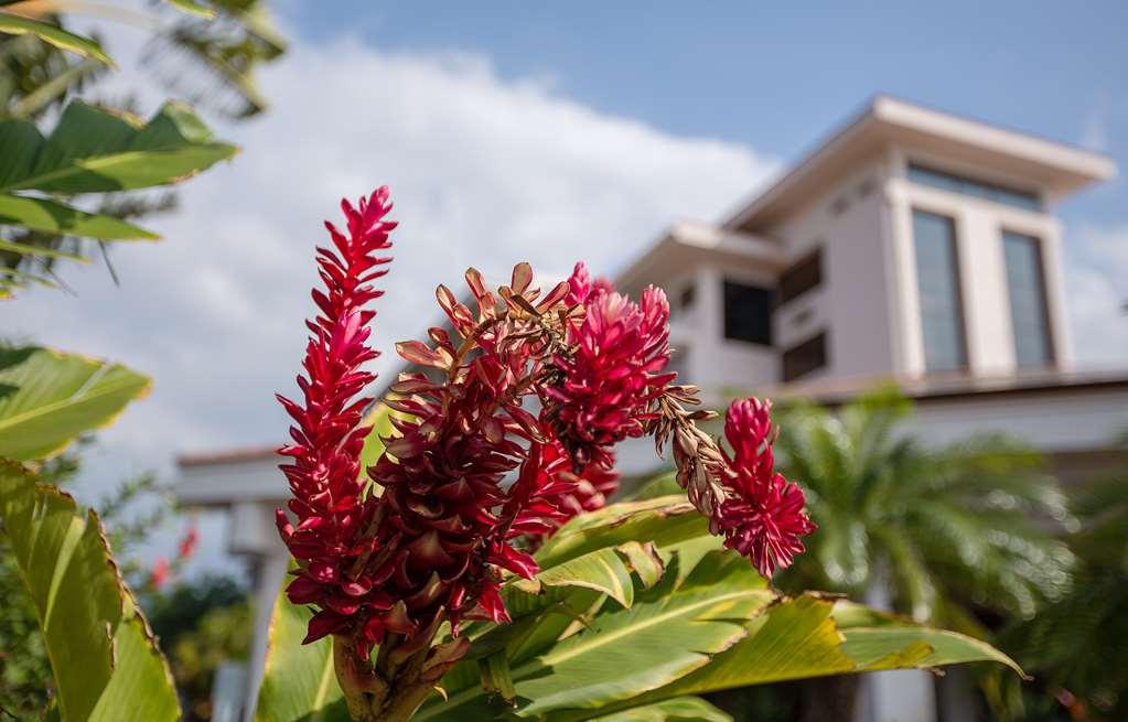 Maui Coast Hotel Кіхеї Зручності фото